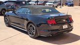 Used 2022 Ford Mustang Premium image 5