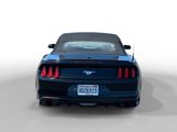 Used 2017 Ford Mustang Premium image 4
