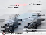 View Video