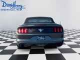 Used 2017 Ford Mustang Convertible w/ Equipment Group 051A image 4