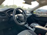 Used 2020 Ford Escape SE image 4