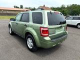 Used 2008 Ford Escape XLT image 4