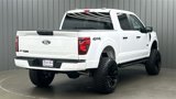 Used 2024 Ford F150 STX w/ STX Black Appearance Package image 5