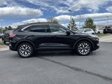 Used 2020 Ford Escape Titanium image 2