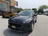 Used 2022 Ford Escape SE image 2