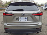 Used 2021 Lexus NX 300 AWD w/ Premium Package image 5