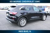 Used 2021 Ford Escape SE image 5