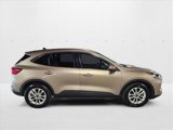 Used 2020 Ford Escape SE image 4