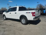 Certified 2019 Ford F150 XLT w/ Equipment Group 301A Mid image 3