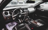 Used 2014 Ford Mustang Premium w/ Equipment Group 201A image 2