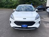 Used 2020 Ford Escape SE image 2