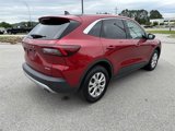 Used 2023 Ford Escape Active w/ Tech Pack #1 image 5
