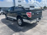 Used 2013 Ford F150 XLT w/ Luxury Equipment Group image 4