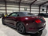 Used 2018 Ford Mustang Premium w/ Equipment Group 201A image 3