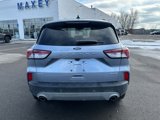 Used 2022 Ford Escape SEL image 6