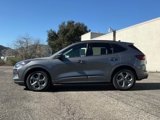 Used 2024 Ford Escape ST-Line w/ Tech Pack #1 image 3