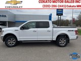 Used 2019 Ford F150 XLT w/ Equipment Group 302A Luxury image 4