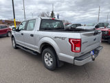 Used 2017 Ford F150 XL w/ Equipment Group 101A Mid image 4