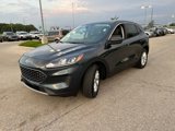 Used 2022 Ford Escape SE w/ Convenience Package image 2