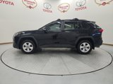Certified 2019 Toyota RAV4 XLE image 5