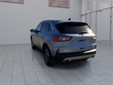 Used 2022 Ford Escape SEL image 5