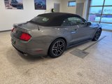 Used 2023 Ford Mustang Premium w/ Equipment Group 201A image 2