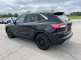 Used 2022 Ford Escape SE w/ Convenience Package image 3