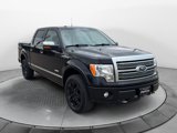 Used 2011 Ford F150 Platinum image 3