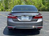Certified 2017 Honda Accord Sport image 5