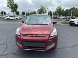 Used 2016 Ford Escape SE image 2