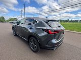 Used 2025 Lexus NX 350 AWD w/ Premium Package image 6