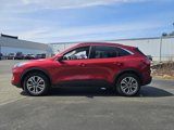 Used 2022 Ford Escape SEL image 4