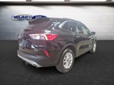 Used 2022 Ford Escape SE w/ Cold Weather Package image 5