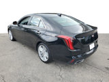 Used 2022 Cadillac CT4 Premium Luxury image 3