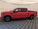 Used 2016 Ford F150 XLT w/ Equipment Group 302A Luxury image 2