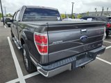 Used 2013 Ford F150 XLT w/ XLT Chrome Pkg image 3