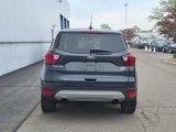 Used 2019 Ford Escape SE image 5