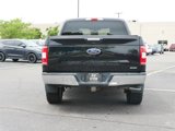 Used 2019 Ford F150 XLT w/ Equipment Group 302A Luxury image 4