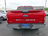 Certified 2020 Ford F150 XLT w/ Equipment Group 302A Luxury image 5