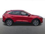 Certified 2020 Ford Escape SEL image 2
