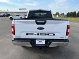 Used 2020 Ford F150 XLT w/ Equipment Group 302A Luxury image 4