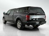 Used 2017 Ford F150 Platinum w/ Equipment Group 701A Luxury image 3