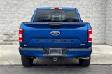 Used 2018 Ford F150 XLT w/ Equipment Group 302A Luxury image 4