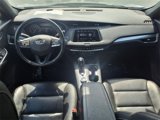 Used 2023 Cadillac XT4 Premium Luxury image 4