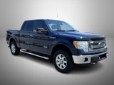 Used 2013 Ford F150 XLT w/ Luxury Equipment Group image 3