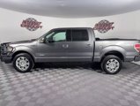 Used 2013 Ford F150 Platinum image 4