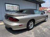 Used 2002 Pontiac Firebird Trans Am image 6