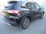 Used 2022 Ford Escape SEL image 5