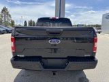 Used 2019 Ford F150 XLT w/ Equipment Group 302A Luxury image 4