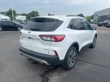Used 2020 Ford Escape SEL image 6